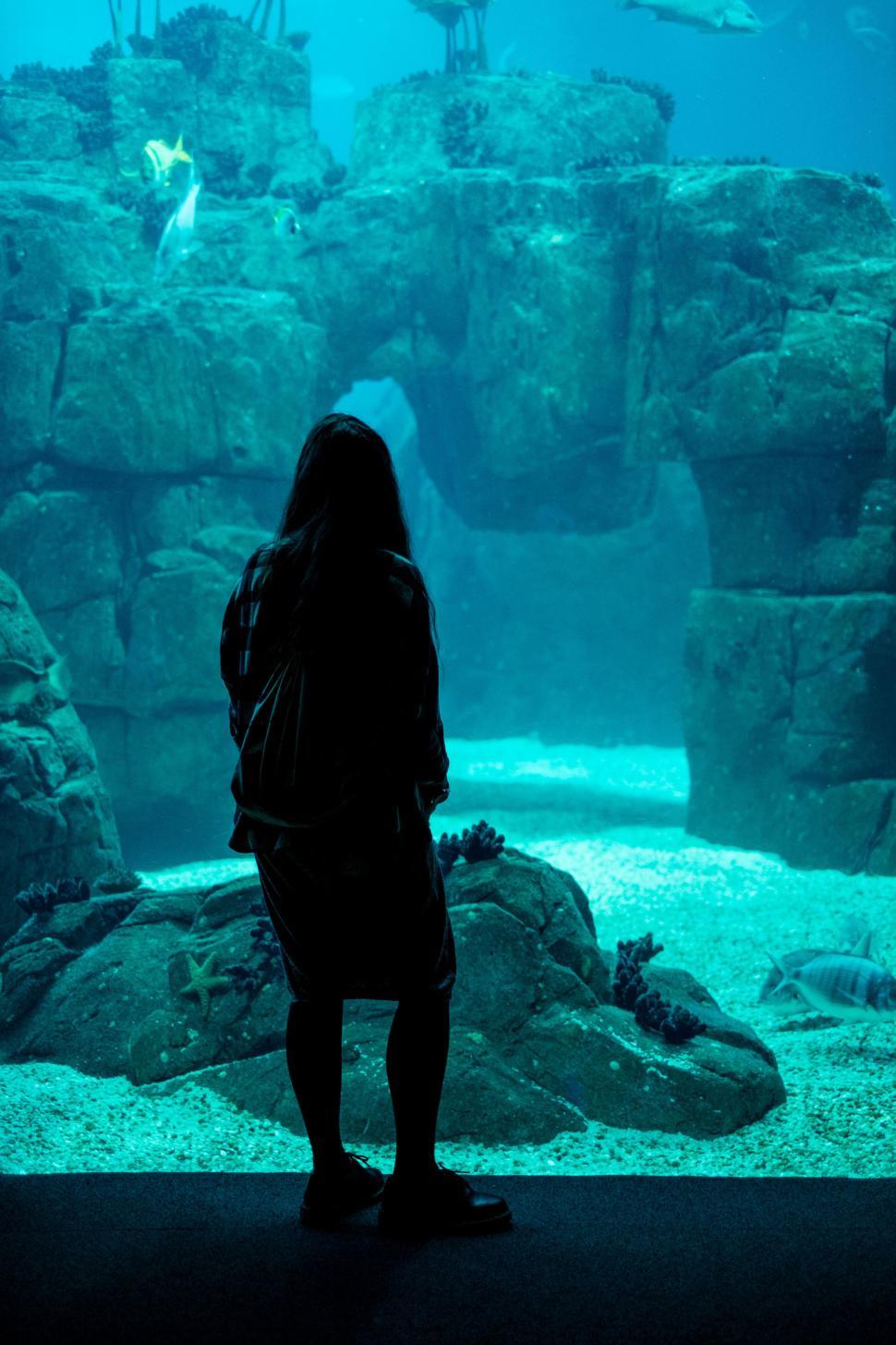 Free Image of Person standing near large aquarium viewing marine life 