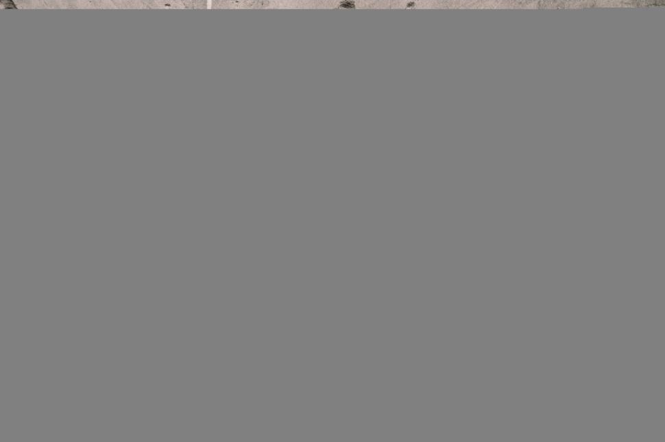 Free Image of Wall textured with bullet holes and damage signs 