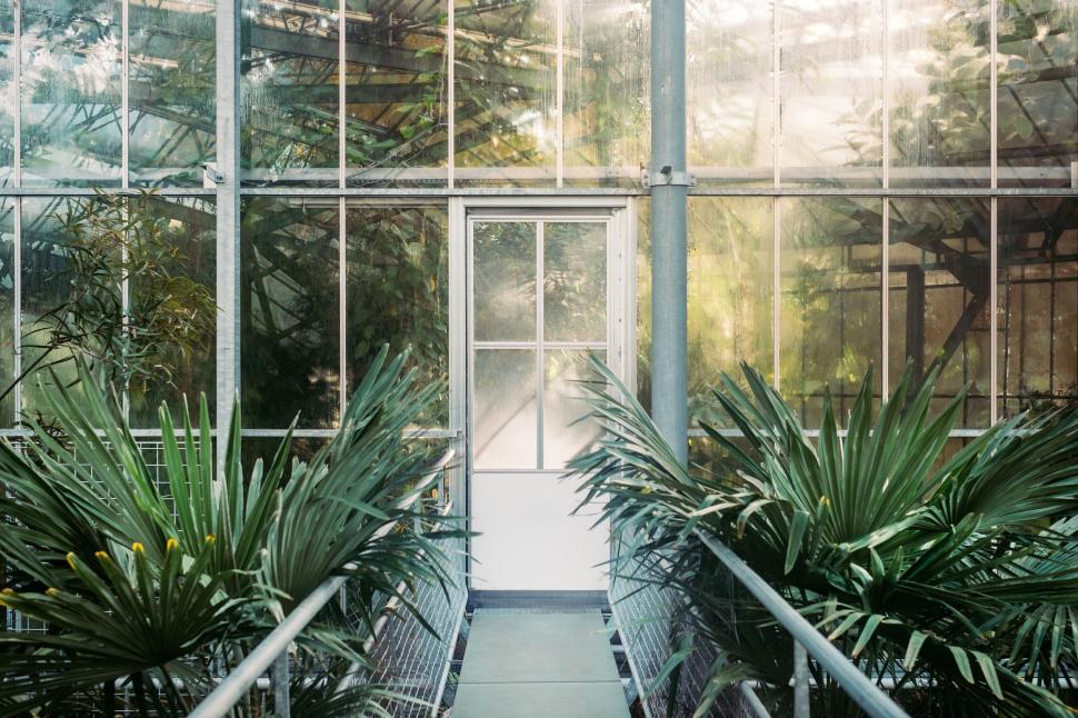 Free Image of Greenhouse interior with lush plants and glass walls 