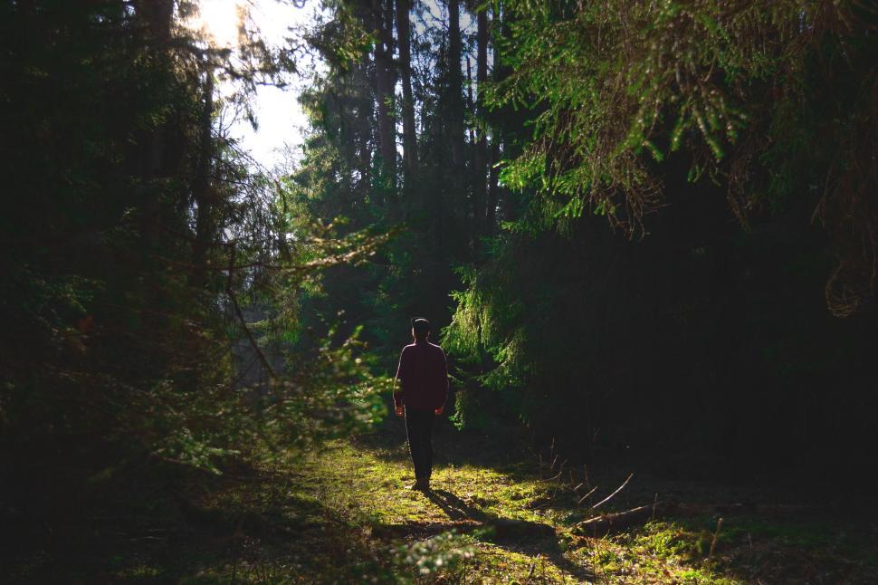 Free Image of Person in dark clothing walking on a path in a forest 