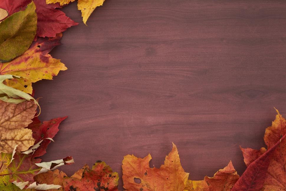 Free Image of Autumn leaves scattered on wooden background frame view. 