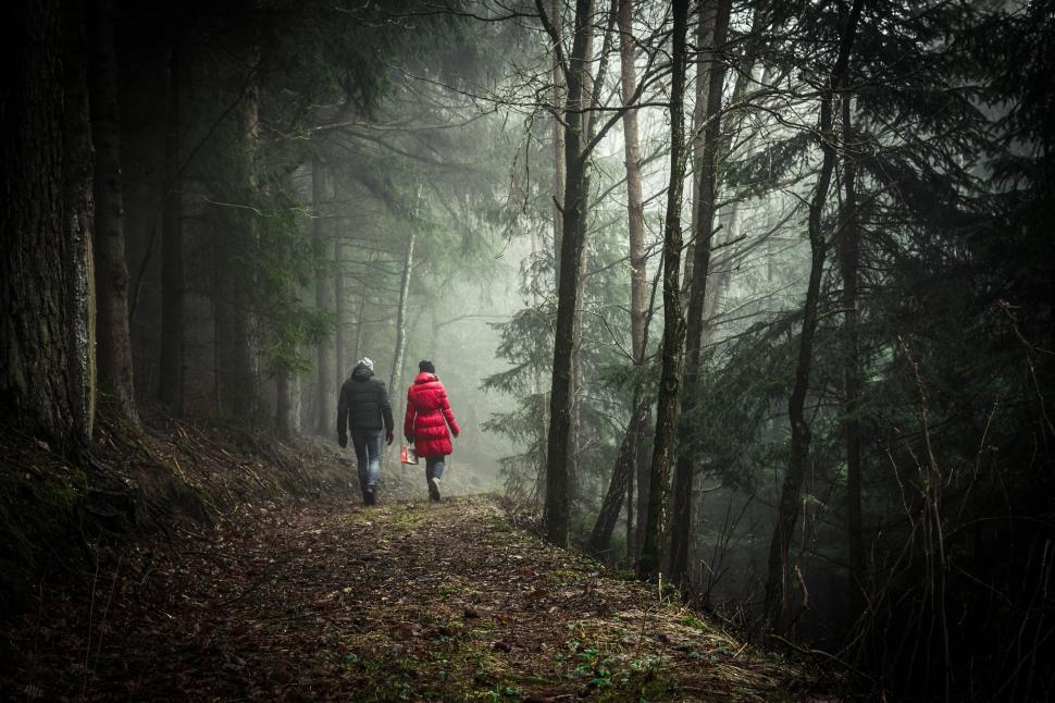 Free Image of Couple walking in misty forest path during daytime stroll. 