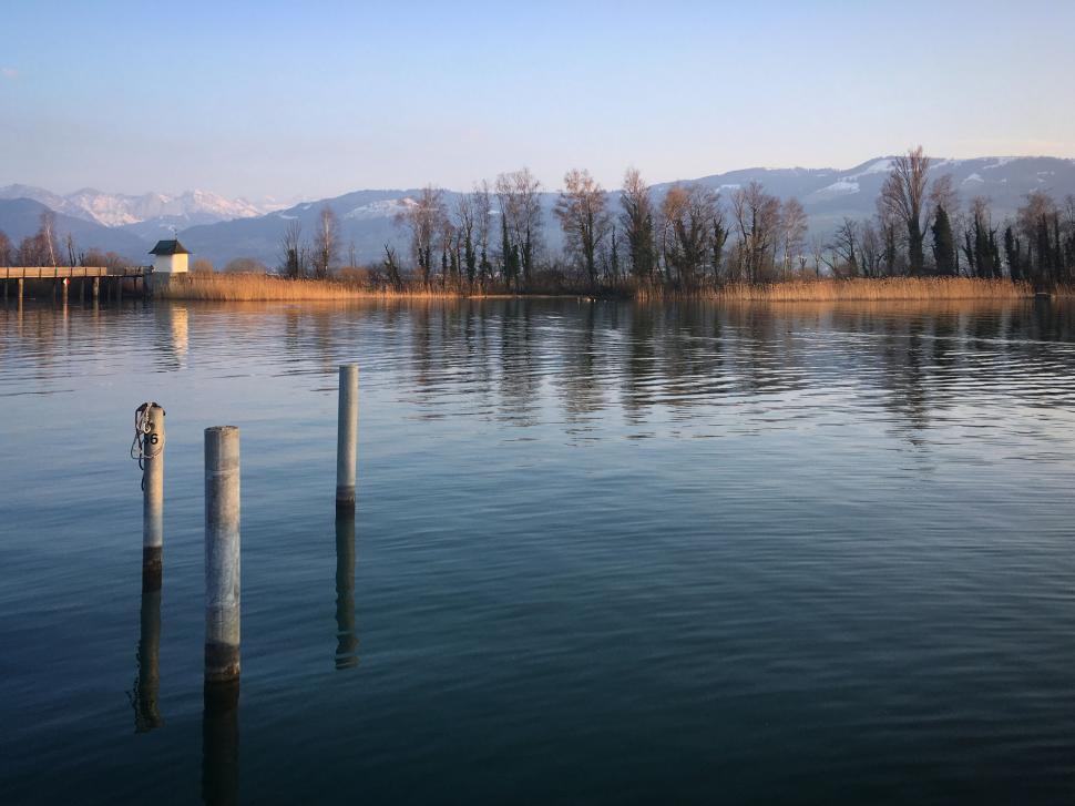Free Image of Peaceful lake with reeds and mountains under blue sky. 