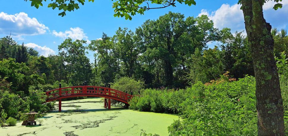 Free Image of Japanese Style Bridge 