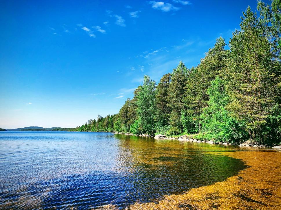 Free Image of Bright and clear lake with forest and blue sky 