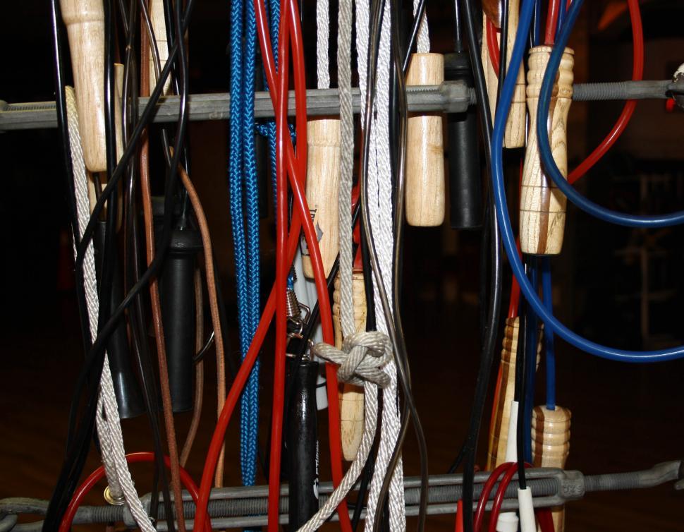 Free Image of Hanging Around the Gym 