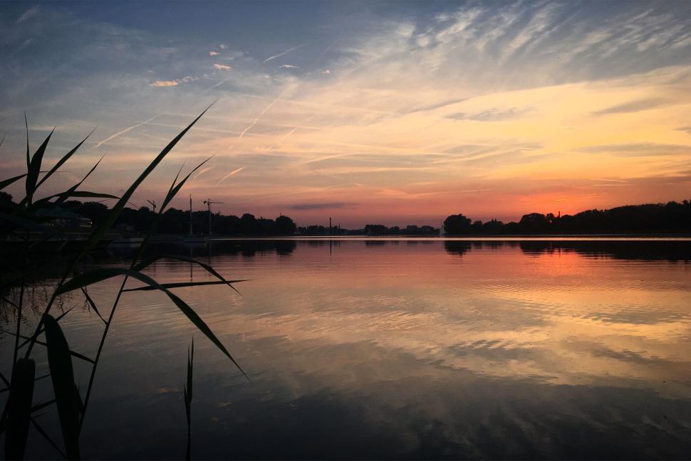 Free Image of Sunset over tranquil lake with reeds in foreground 