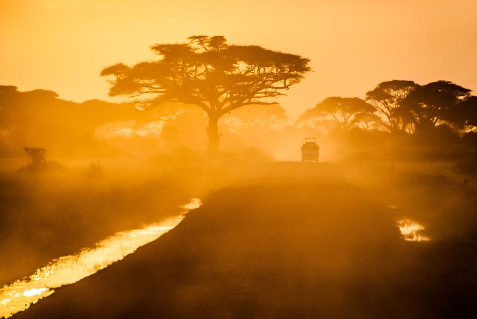 Free Image of Safari adventure with sunset backdrop and iconic tree 
