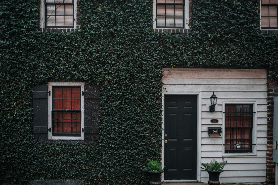 Free Image of Green ivy-covered building with black door and windows 