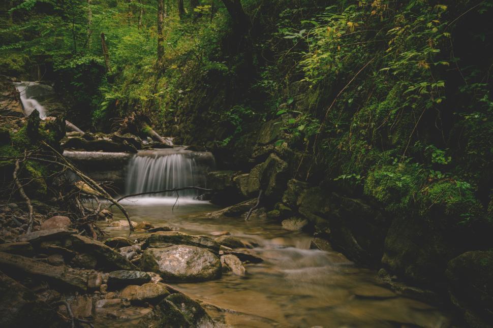 Free Image of A tranquil woodland stream flowing over rocks and logs. 