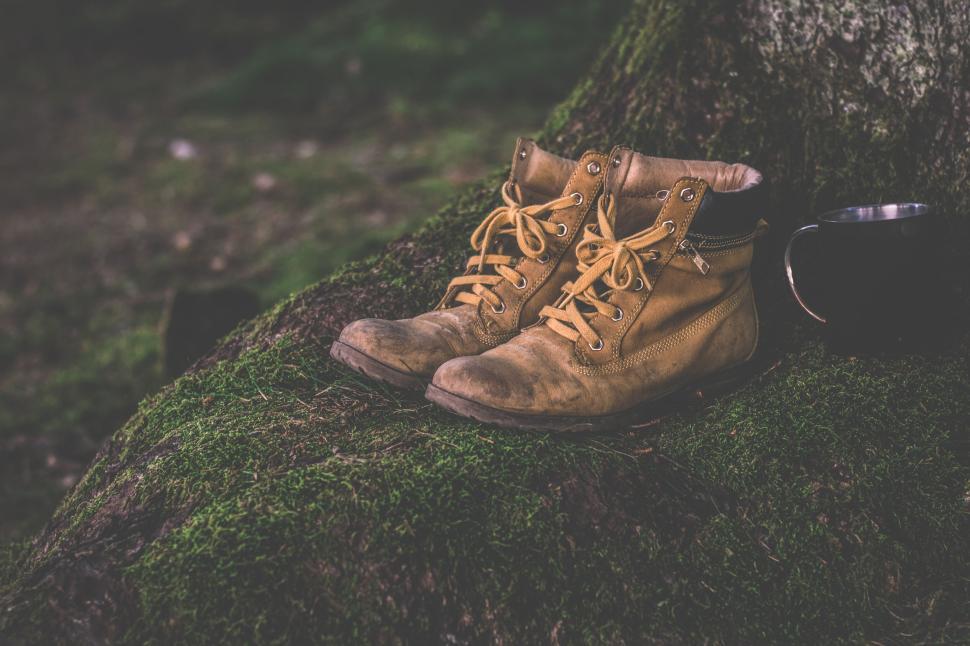 Free Image of Worn hiking boots on mossy ground next to a tree. 