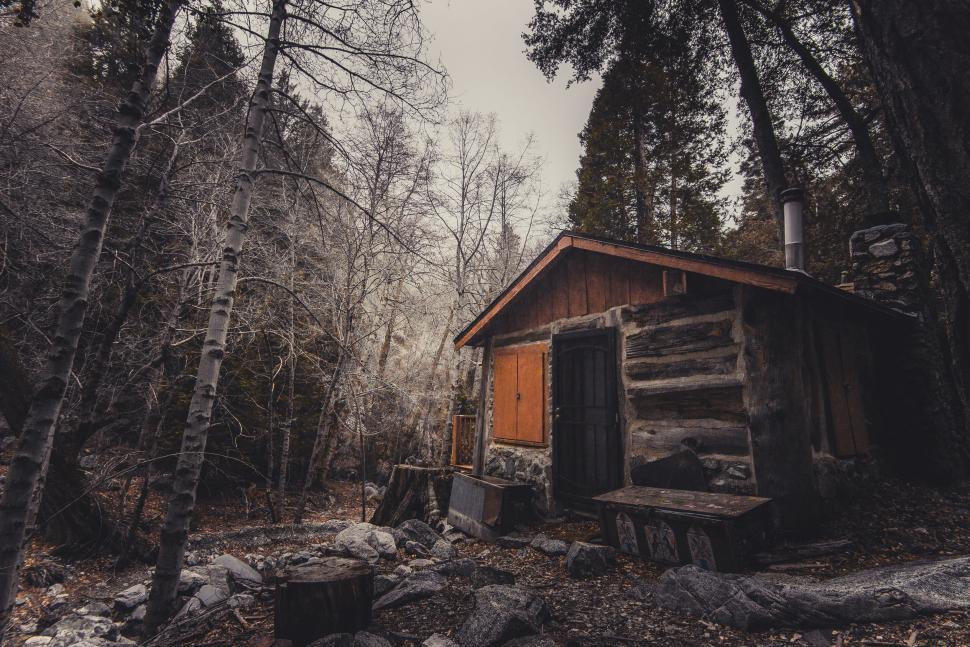 Free Image of Rustic log cabin surrounded by the wintry forest scene. 