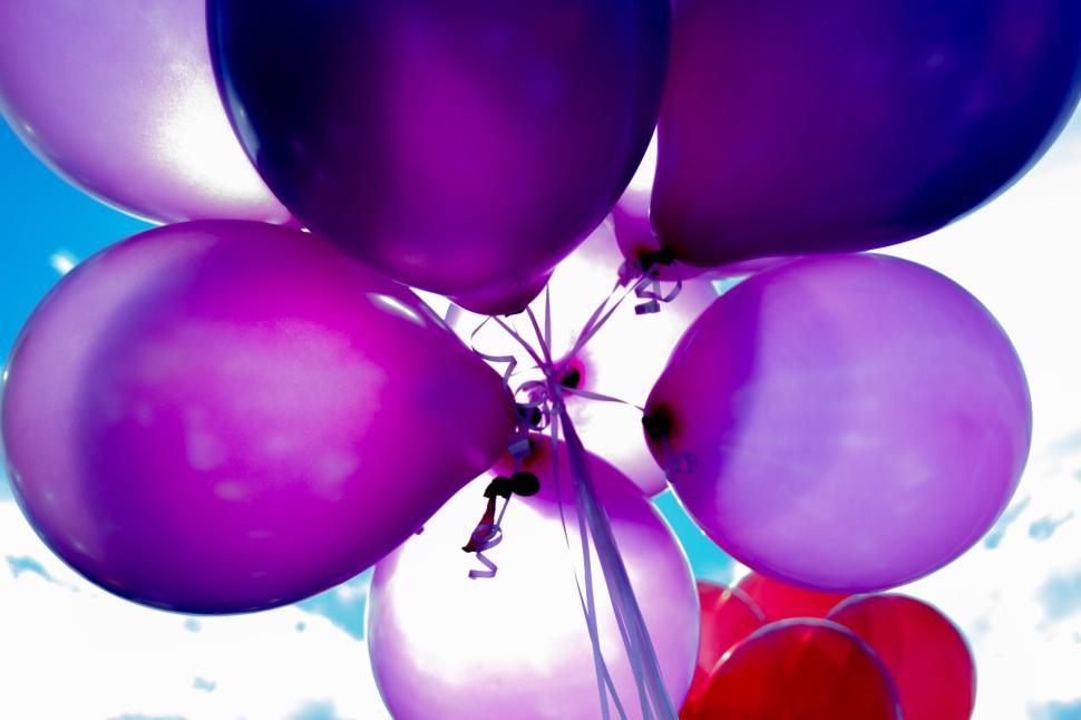 Free Image of Assorted colorful balloons floating against the sky 