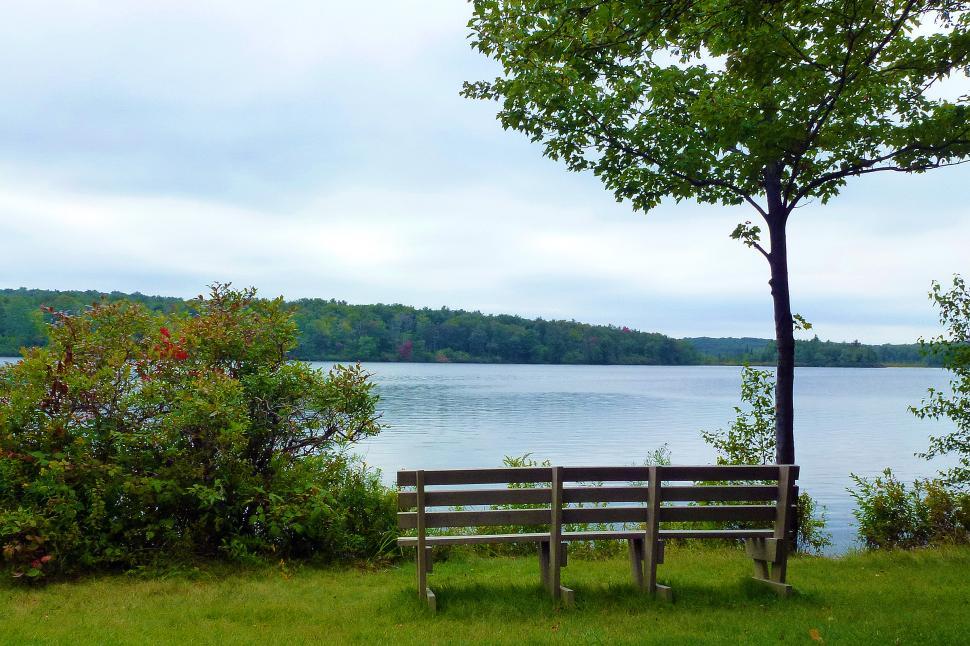 Free Image of Bench By The Lake 