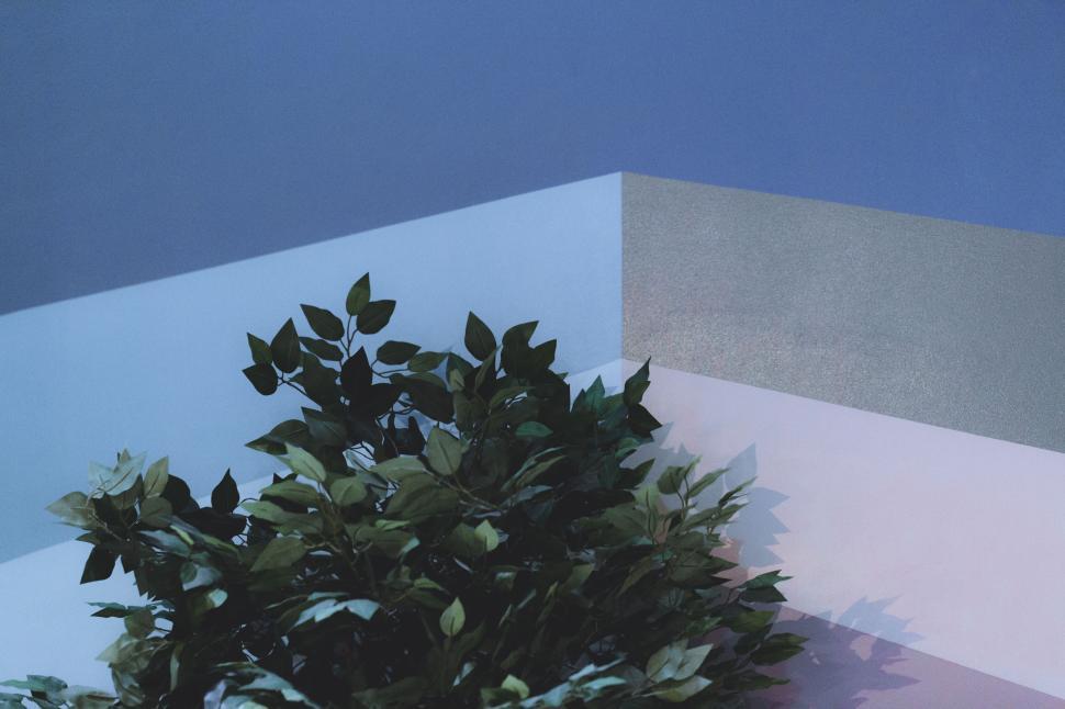Free Image of Plant branches against abstract modern background design 