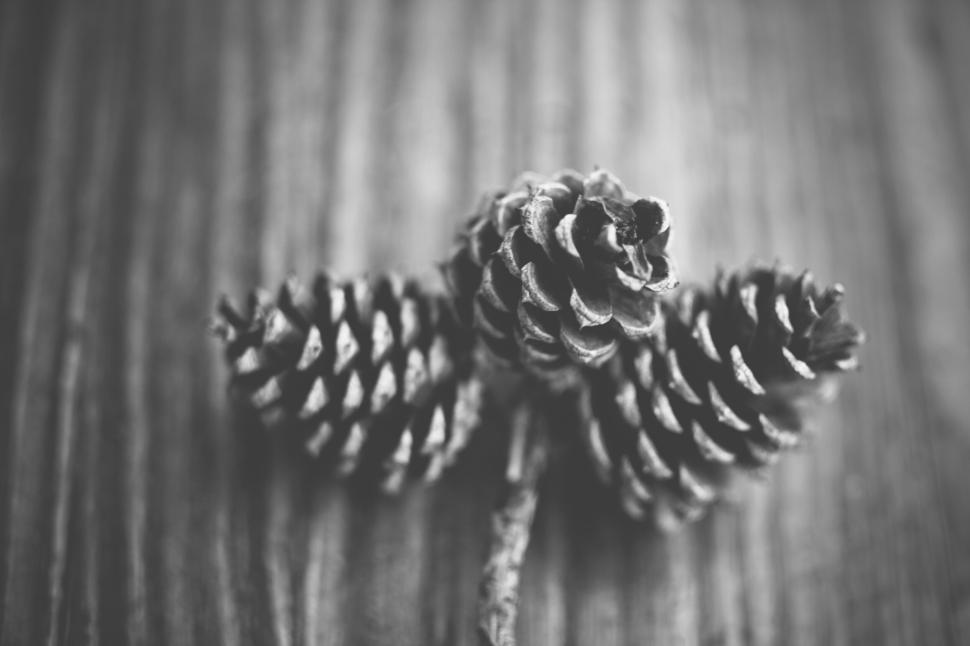 Free Image of Close-up of pinecones on rustic wooden surface 