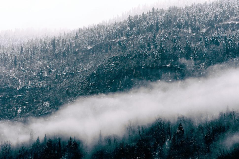 Free Image of Mountain range with snow-covered trees and misty fog 