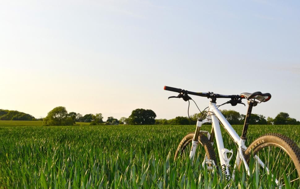 Free Image of Mountain bike standing in field of lush green crops 