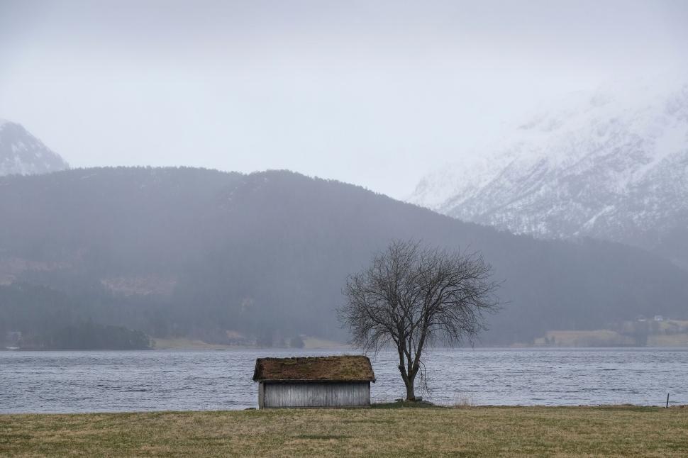 Free Image of Lonely cabin and tree by calm lake against misty hills. 