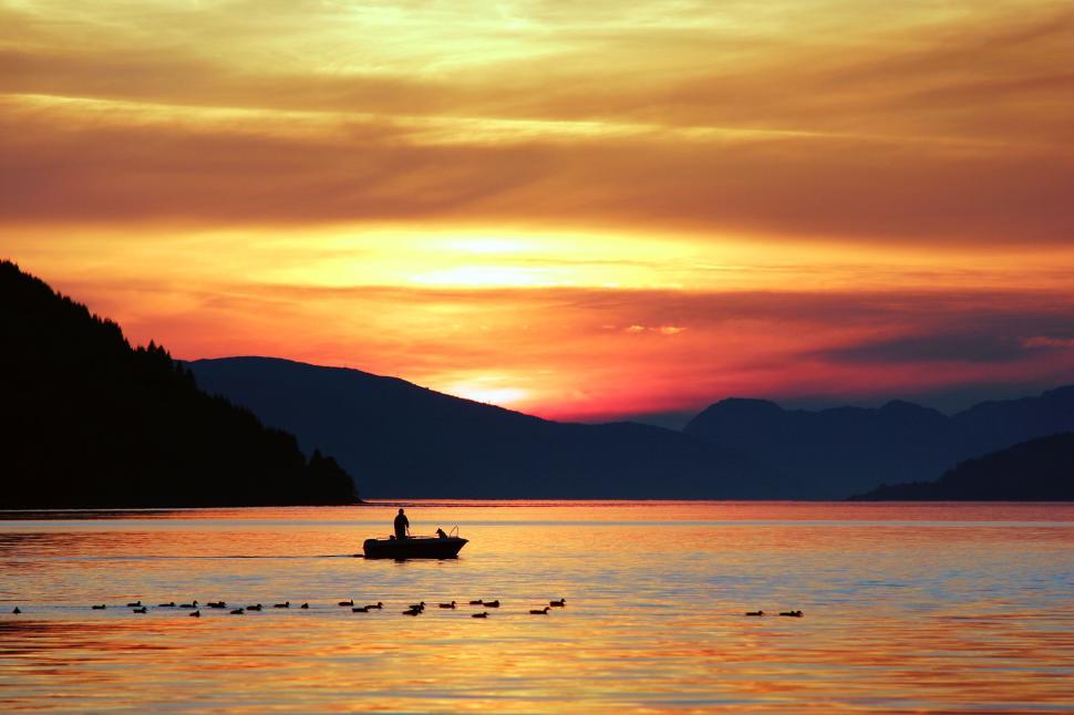 Free Image of Boat rowing on lake along the ducks at sunset, serene view. 