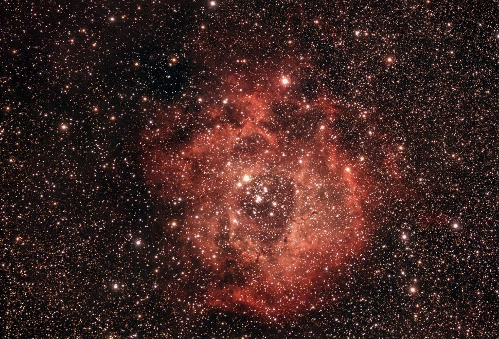 Free Image of Vivid Deep Space Image of Rosette Nebula 