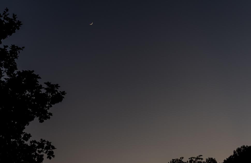 Free Image of Crescent moon appearing with trees silhouetted at dusk. 