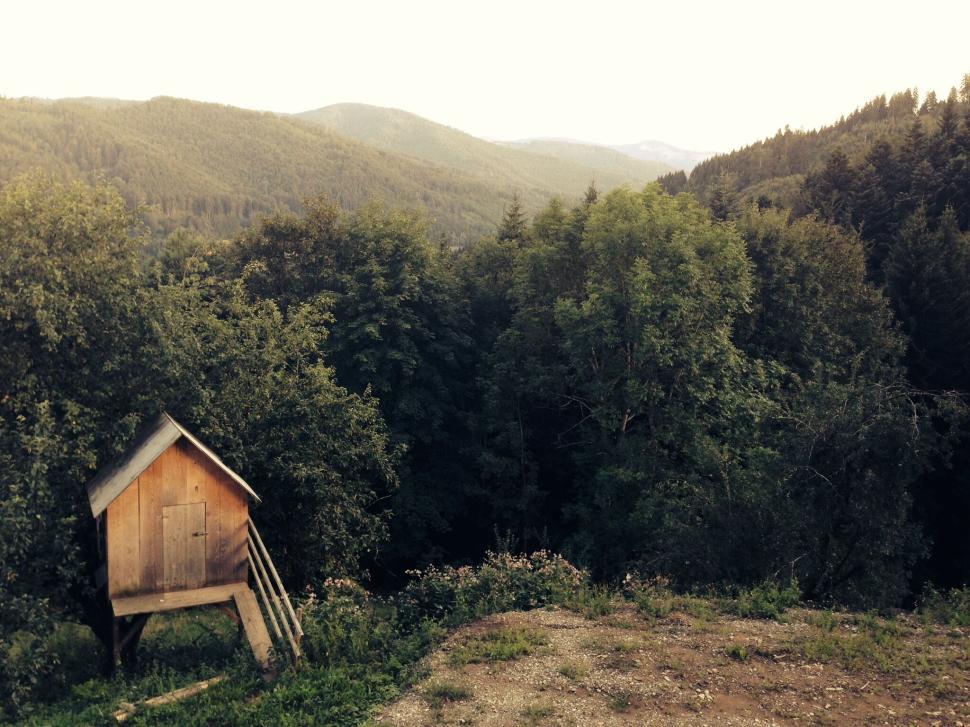 Free Image of Rustic wooden house on a hill with forest in the distance. 