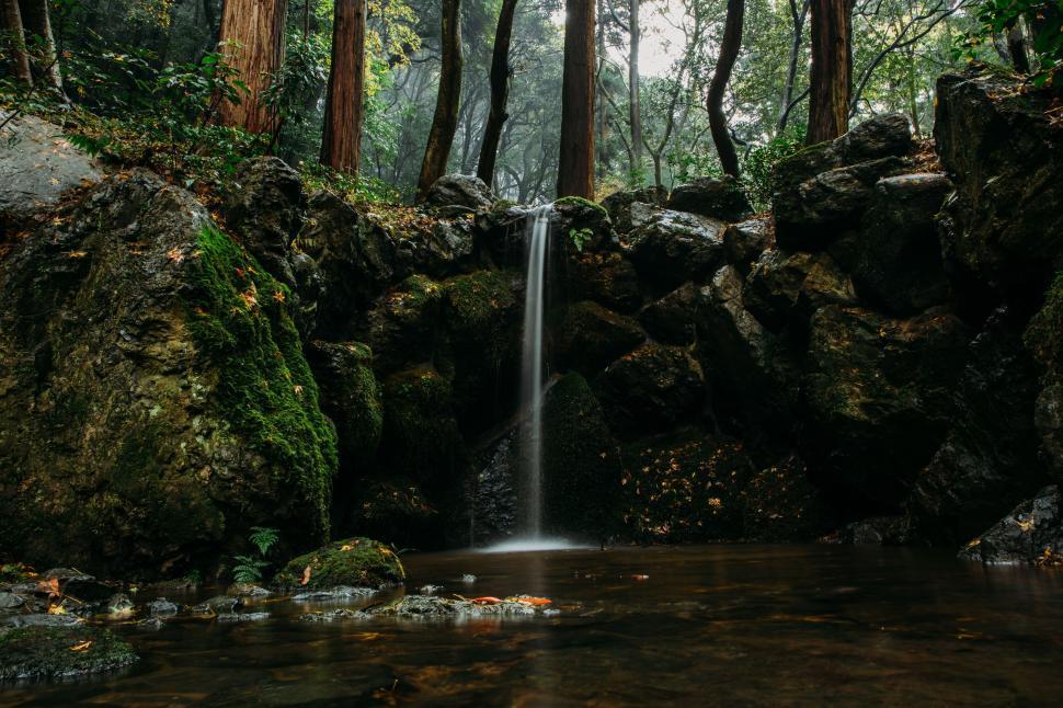 Free Image of Serene forest waterfall cascading over mossy rocks 
