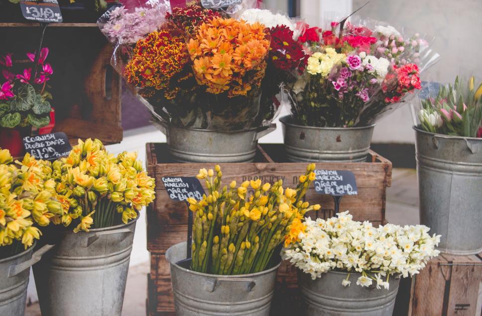 Free Image of Colorful flower bouquets in metal buckets at market. 