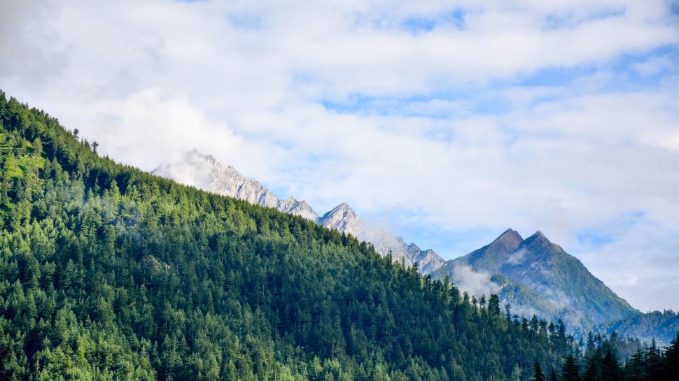 Free Image of Lush green forest with mist and tall mountain peaks. 