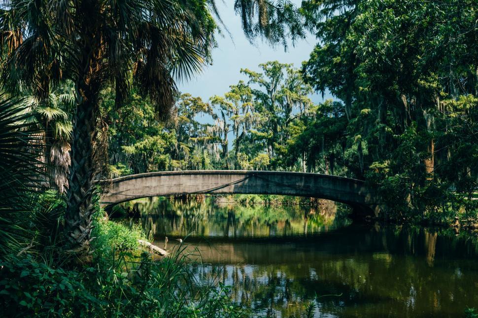 Free Image of Stone bridge over a calm river surrounded by trees. 