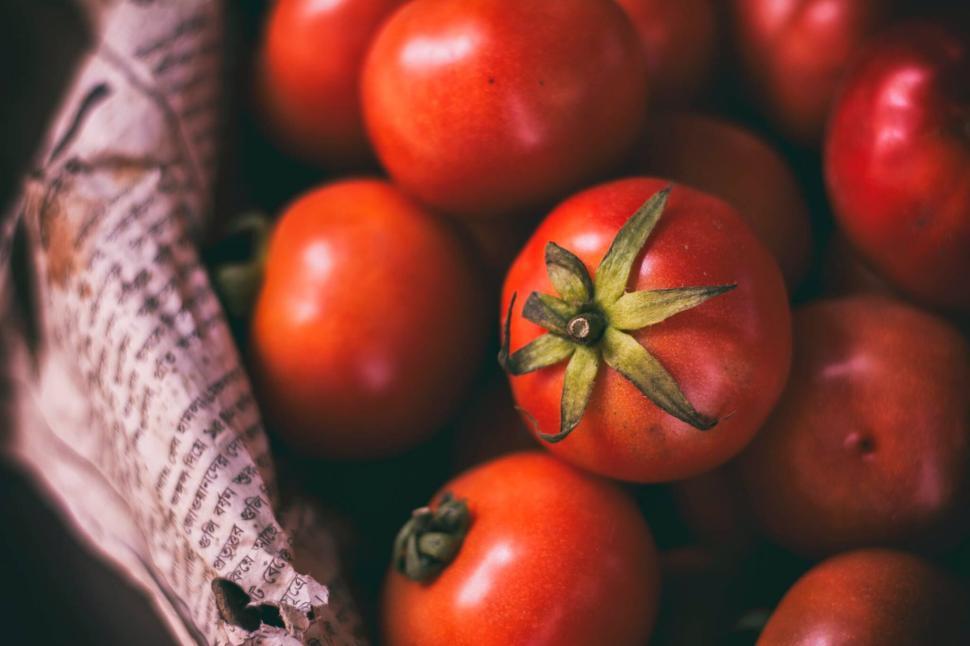Free Stock Photo of Fresh ripe tomatoes in a basket wrapped in ...