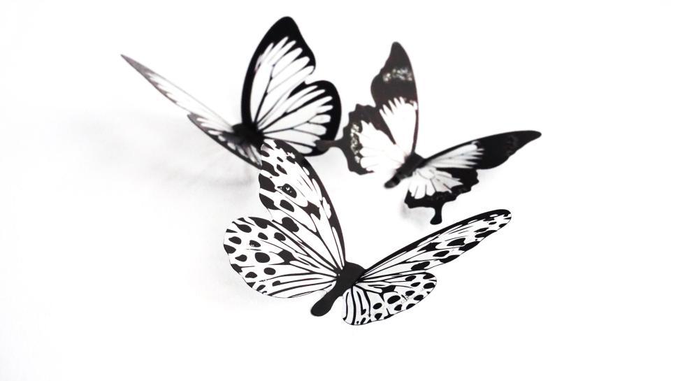 Free Image of Black and white paper butterflies on a white background. 
