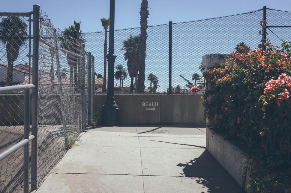 Free Image of Path to the beach with fences and flowers in summer 