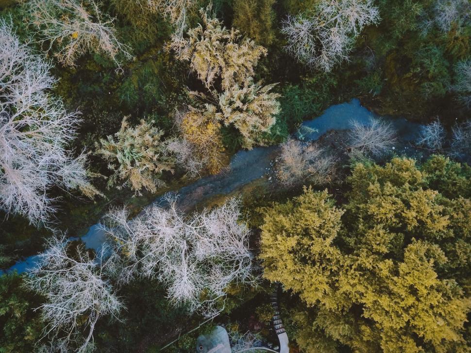 Free Image of Aerial view of forest with a flowing river during autumn season 