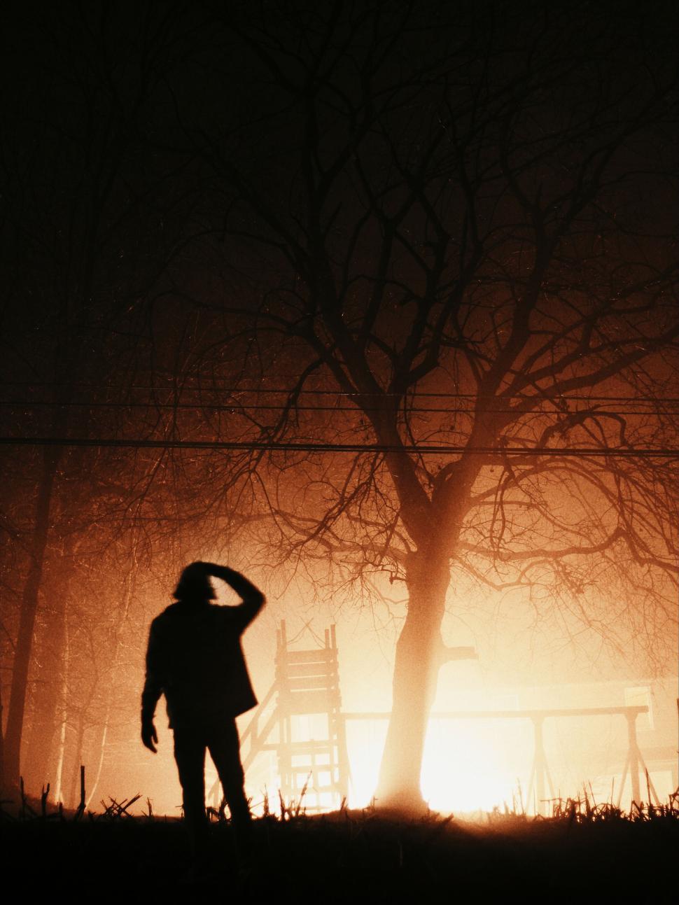 Free Image of Silhouette of person in front of illuminated tree scene 