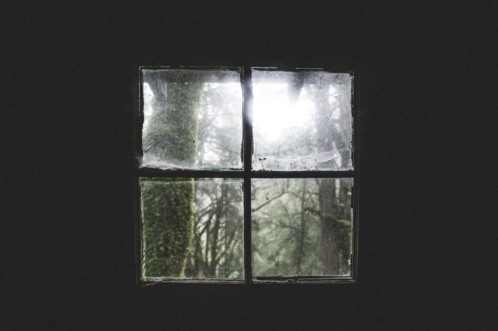 Free Stock Photo of Old window with moss in misty forest view outside ...