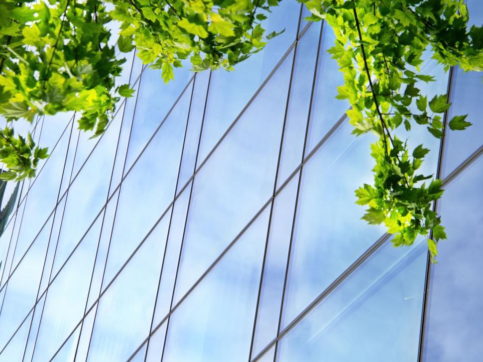 Free Image of Green leaves reflecting sky on glass building facade 