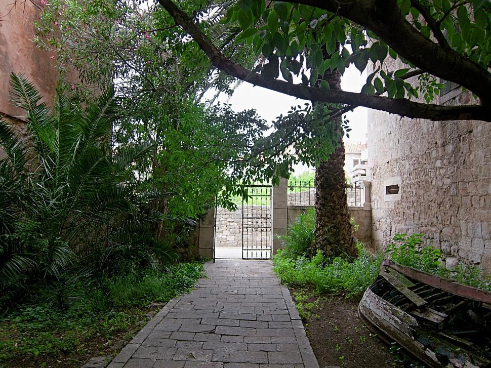 Free Image of Front yard 