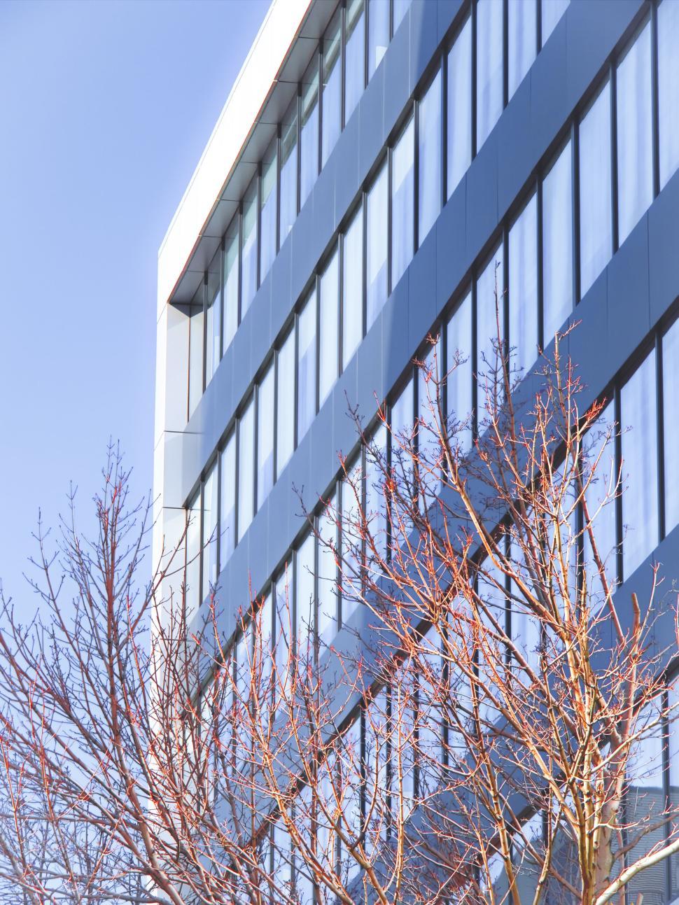 Free Image of Modern glass building with trees in the foreground, serene 