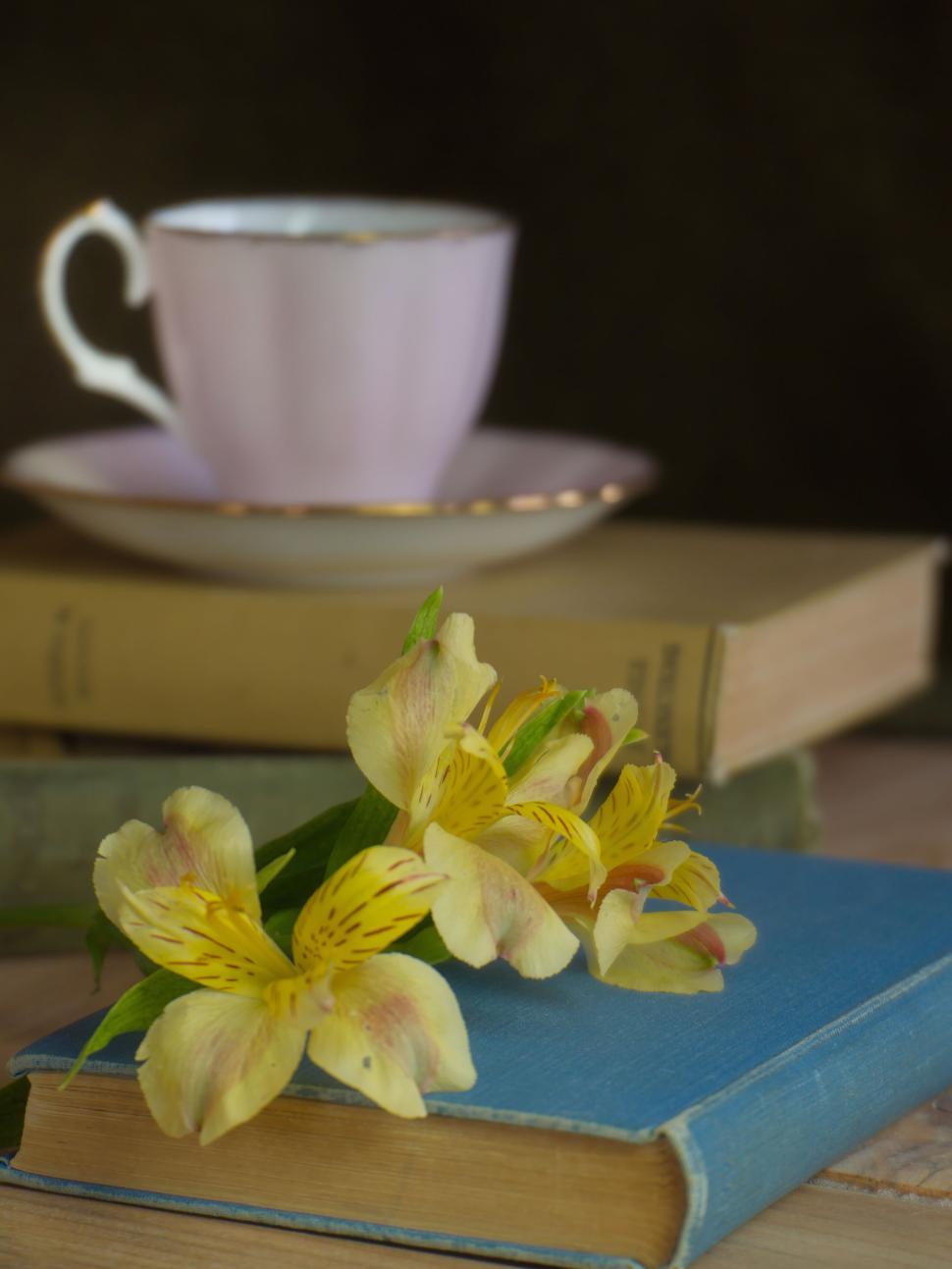 Free Image of A pink teacup, yellow flowers, and old books on a table 