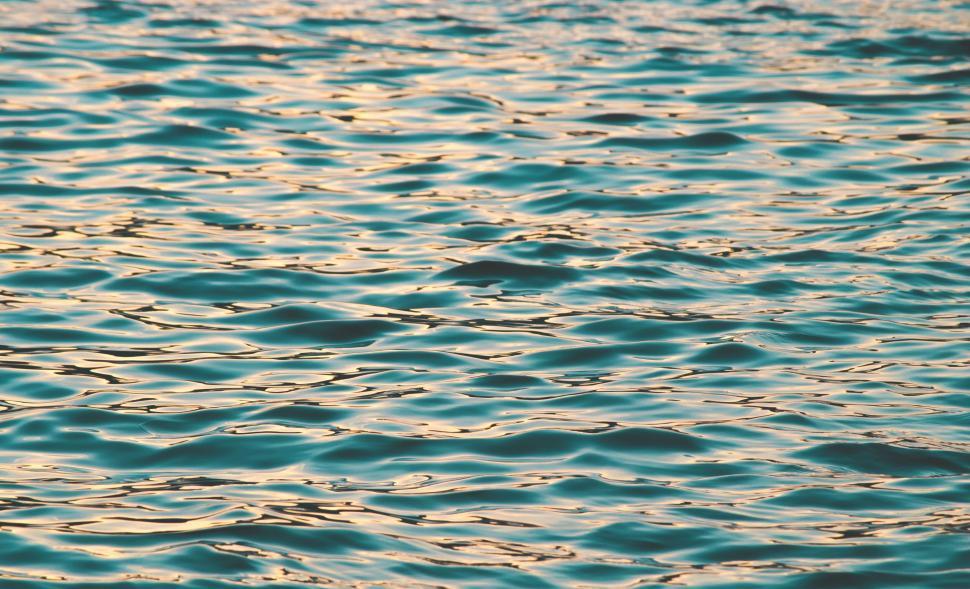 Free Stock Photo of Golden ripples shimmering in the calm blue water ...