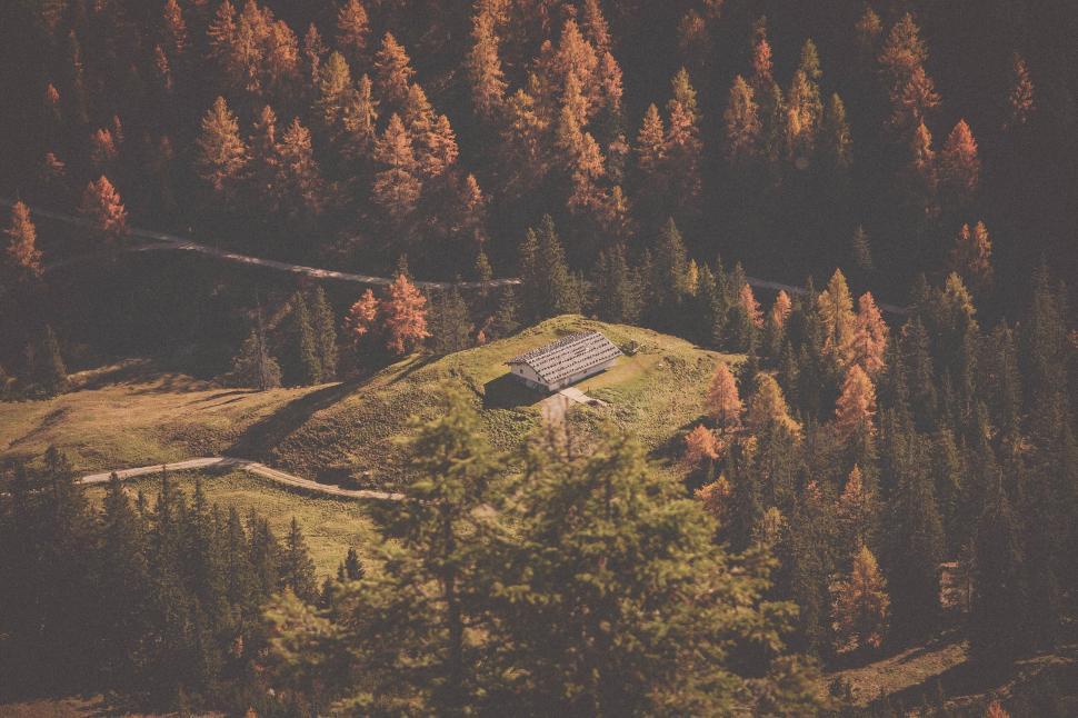 Free Image of Solitary cabin amidst autumn forest illuminated by sun 