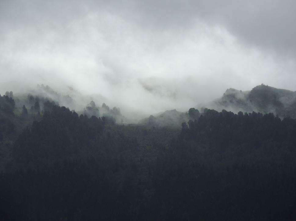 Free Image of Thick fog enveloping forested mountain slopes 