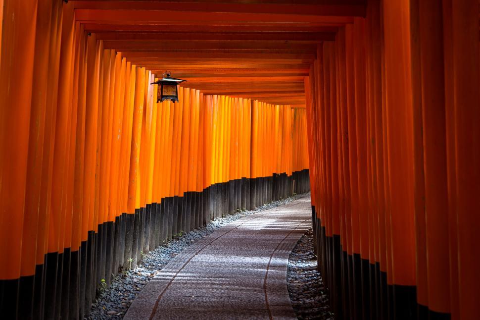 Free Image of Traditional orange torii gate path in a Japanese shrine 