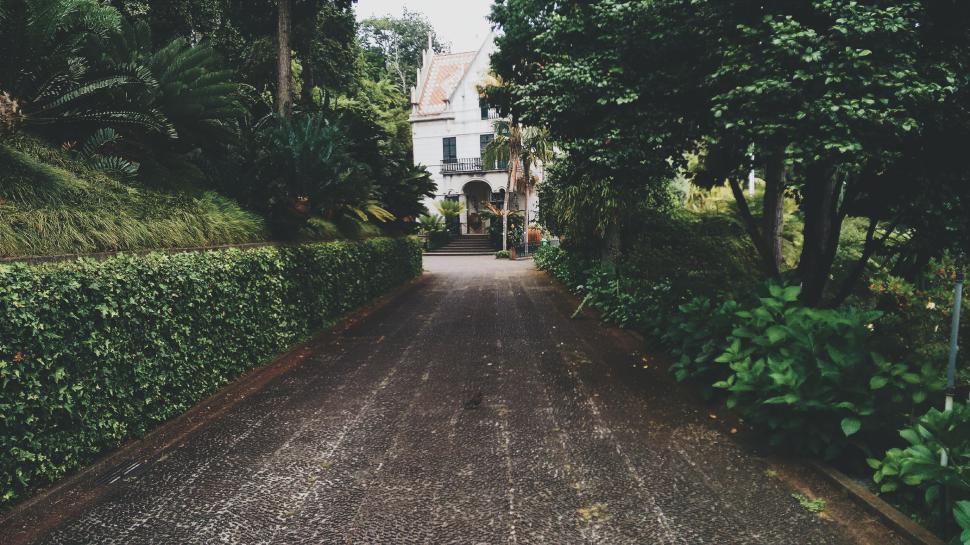 Free Image of Tree-lined driveway leading to a white house entrance 
