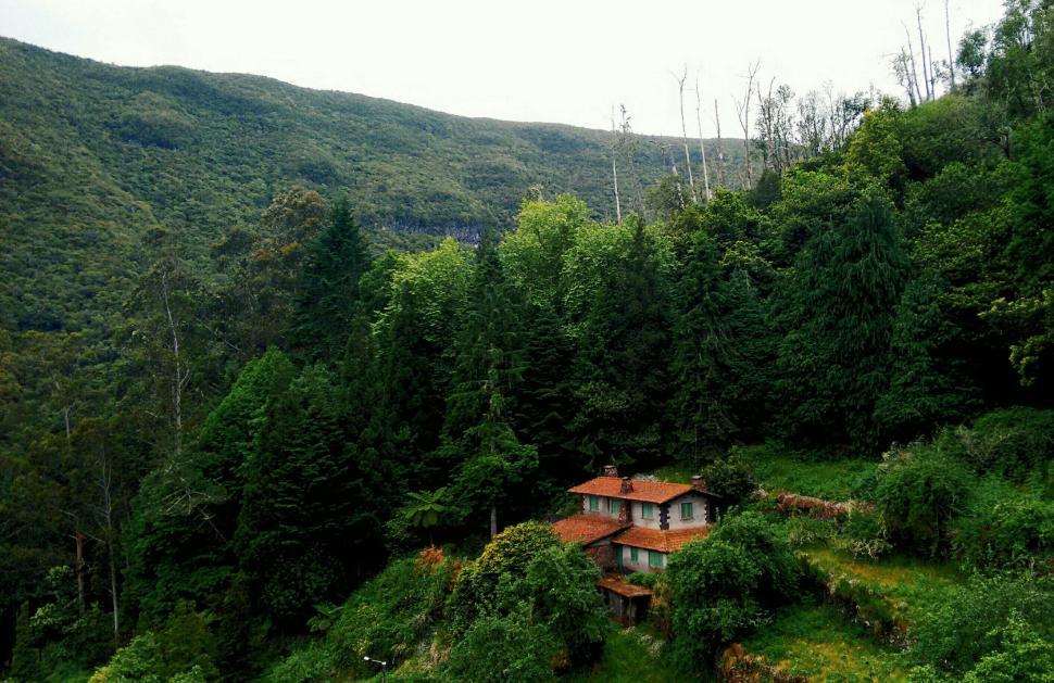 Free Image of House nestled in lush green forest surrounded by trees 