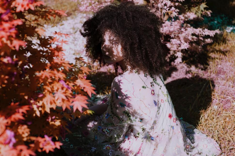 Free Image of Person sits amidst colorful autumn foliage in nature. 
