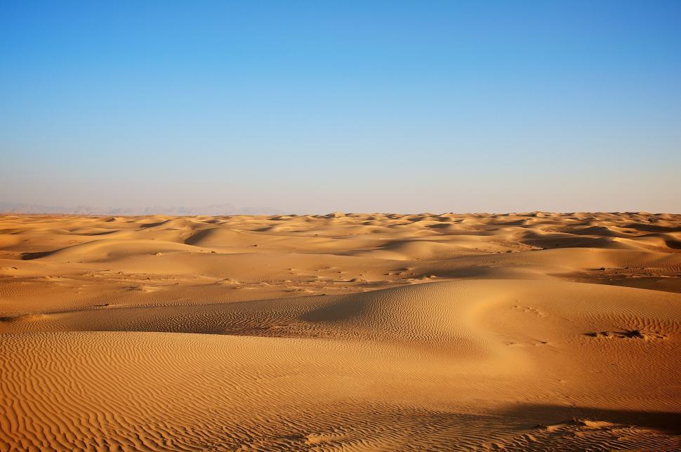 Free Image of Golden sand dunes under a bright blue sunny sky 