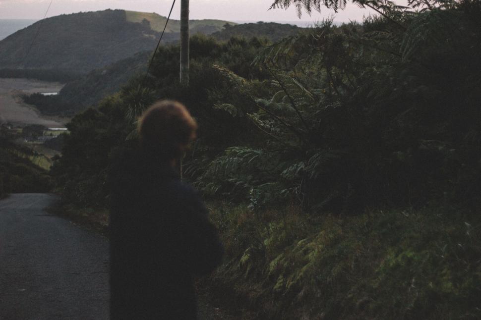 Free Image of Person standing on forest road overlooking the valley 